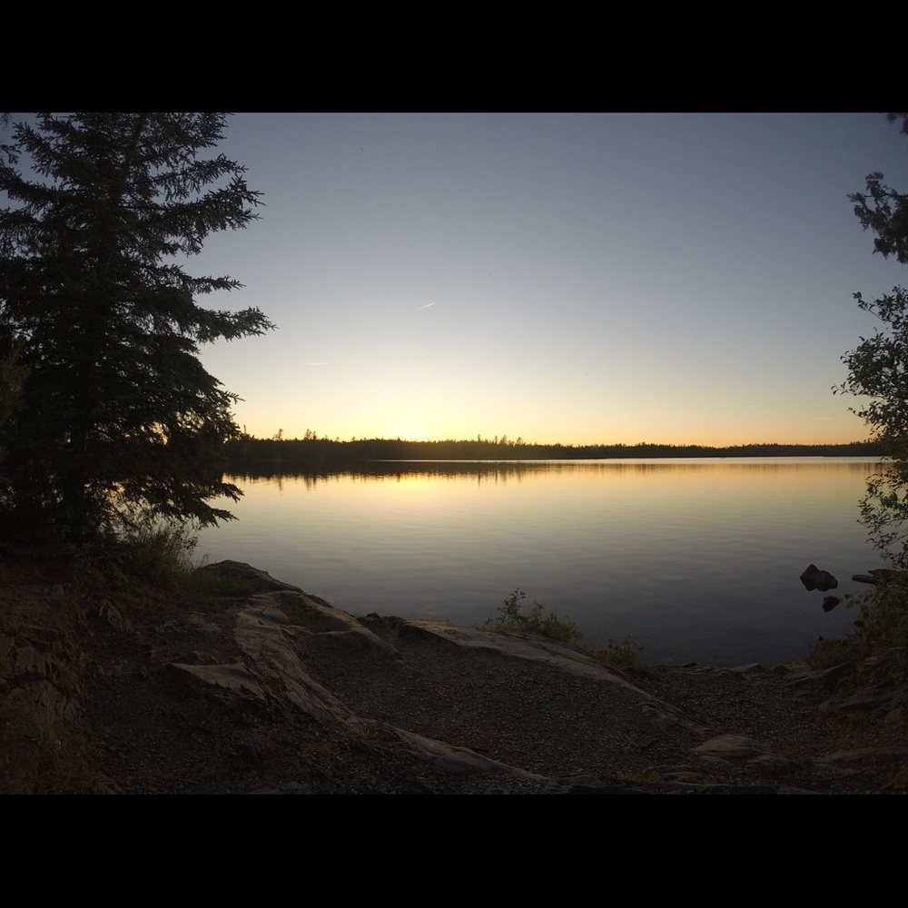 Meet your Posher, Daria